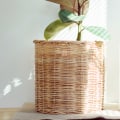 How to Make the Most of Air Purifiers