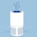 Do Home Air Filters Really Make a Difference?
