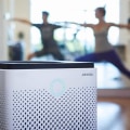 How Much Does It Cost to Install a Whole House Air Purifier?
