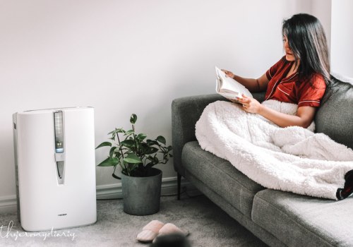 Do Air Purifiers Really Work?